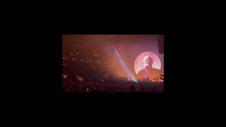 Epic NYC Adventure David Gilmour Live in Concert 🎸✨ [upl. by Hayse]