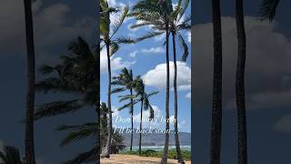 Don’t worry Baby Ill be back soon… Haleiwa Hawaii [upl. by Athalie]