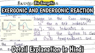 Endergonic and Exergonic Reactions [upl. by Imailiv746]