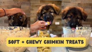 Soft  Chewy Chicken Treats For Dogs Recipe [upl. by Tteltrab]