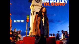 Damian Marley  Born To Be Wild with lyrics [upl. by Hearsh]