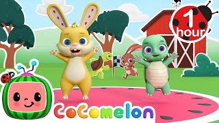 Tortoise and the Hare Dance Party  CoComelon Nursery Rhymes amp Kids Songs [upl. by Yahiya]