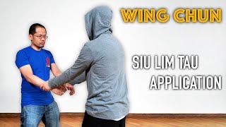 How To ESCAPE A Double Hand Grab  Wing Chun Techniques [upl. by Notaes]