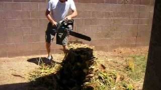 Palm Tree Removal via CHAINSAW [upl. by Resay]