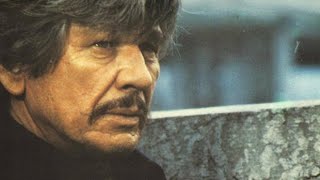 LOVE AND BULLETS 1979☆CHARLES BRONSON☆VISITA NUESTRO BLOG👇👇⤵🔻 [upl. by Aziul]