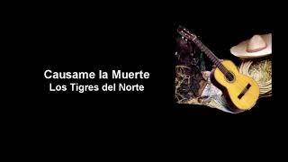 Causame la Muerte  Los Tigres del Norte Letra [upl. by Ratha]