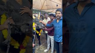 Kadaikutty Singam Karthi 🔥 meiyazhagan tamilcinema shortstamil tamilshorts trending tamil [upl. by Ahsilet282]