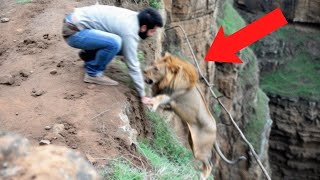 கேமராவில் பதிவான விலங்குகள் செய்த தரமான சம்பவங்கள்  Animal moments caught on camera  Tamil Wonders [upl. by Haidej21]