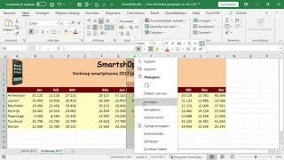 Excel  Kolommen en rijen invoegen en verwijderen [upl. by Barrada923]