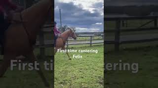 First time cantering Felix and morehorses fun cowgirl [upl. by Donnelly]