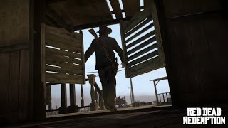 JE TRAVERSE LES ÉCHELLES BUG RED DEAD REDEMPTION [upl. by Olwen]