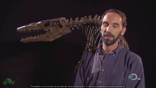 Documental de Dinosaurios En ESPAÑOL NATIONAL GEOGRAPHIC TYRANNOSAURUS REX [upl. by Elias997]