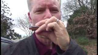 Gussows Classic Blues Harmonica Videos trailer [upl. by Bhayani]