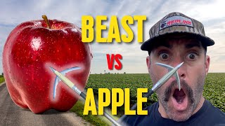 BEAST Broadhead VS Apple bowhunting [upl. by Martino]