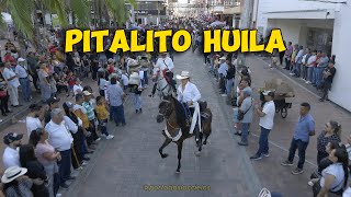 Cabalgata PITALITO HUILA 2023 [upl. by Alaster302]