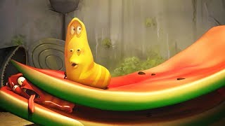 LARVA  WATERMELON  2017 Cartoon Movie  Videos For Kids  Kids TV Shows Full Episodes [upl. by Aicetel]