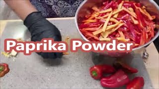 Homemade Paprika Powder [upl. by Anilesor752]