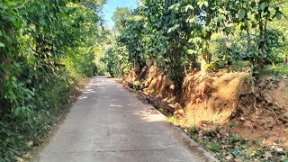 65 acre plantation for sale in Mallandur  Chikkamgaluru [upl. by Emorej276]