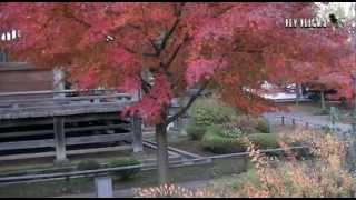 Temple in Narimasu Tokyo Japan [upl. by Leamse]