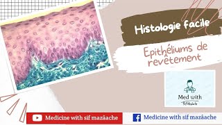 1 Les Epithéliums de Revêtement  Histologie 1ère MED [upl. by Orhtej]