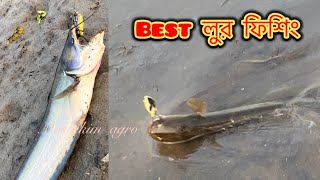 amazing snakehead fishing by frog lure  লুর দিয়ে শোল গজার এবং বোয়াল মাছ ধরা mostakimagro [upl. by Atnod]