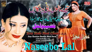 Tera Nalo Pani Chnga AA  Naseebo Lal  New Punjabi Song  Mujra Dance Song 2024  BN BUREWALA HD [upl. by Noscire24]