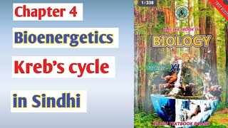 Krebs cycle class 11 biologyCitric acid cycle  Sindh board [upl. by Sessler]