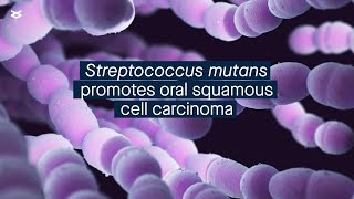 Streptococcus mutans promotes oral squamous cell carcinoma via metabolic reprogramming [upl. by Nemrak]