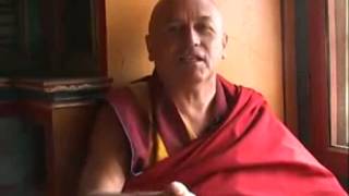 Matthieu Ricard  le bouddhisme et loccident [upl. by Ahsitahs]