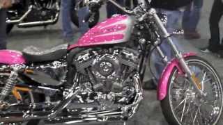 New Color 2013 HarleyDavidson Sportster FortyEight Pink and Silver Hard Candy Custom [upl. by Nyrol677]