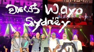 WAYO බයිලා in Sydney 👌👍❤️  වායෝ බයිලා සැසිය in Sydney 🇦🇺 🪃🇦🇺 Baila  Sri Lankan Songs dance music [upl. by Debi]