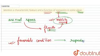 Mention a characteristic feature and a function of zoospores in some algae [upl. by Merta70]