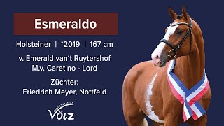 Esmeraldo Emerald van´t Ruytershof  Caretino  Lord [upl. by Izmar]