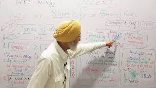 CH5MORPHOLOGY OF FLOWERING PLANTSTYPES OF LEAVESCLASS11NCERTNEET BIOLOGY [upl. by Navinod]