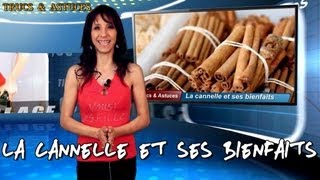 La cannelle et ses bienfaits  Cinnamon and its benefits [upl. by Ienttirb]