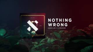 DROELOE  Nothing Wrong Official Audio [upl. by Werbel]