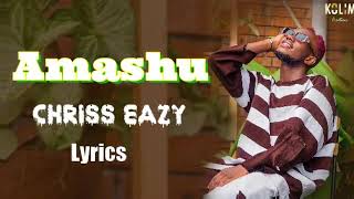 AMASHU Chriss Easy Video lyrics 2021 [upl. by Oibesue192]