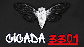 Cicada 3301 Solving the Internets Greatest Mystery [upl. by Atteloc843]