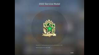 cs go service medal 2022 tier 2 [upl. by Thalia]