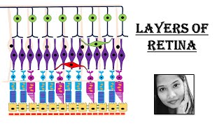 Layers of Retina  Simplified Lecture  Ophthalmology [upl. by Danas388]