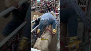 MOROCO DE PÁTZCUARO VS G63 EL PATAS DE PLOMO MOROCO DE PÁTZCUARO RANCHO EL AGUAJE SALINAS CALIFORNIA [upl. by Nahgeam366]