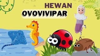 HEWAN OVOVIVIPAR  Contoh Hewan Ovovivipar di Sekitar Kita ❗️💫 [upl. by Koss]