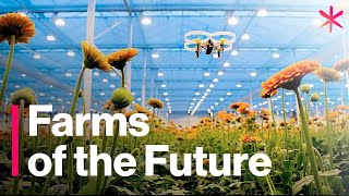 The Futuristic Farms That Will Feed the World  Freethink  Future of Food [upl. by Nij345]