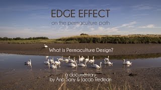 What is Permaculture Design in 3min [upl. by Eartha]