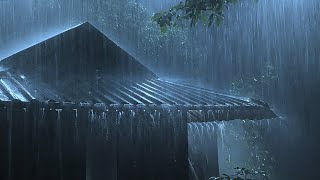 Overcome Stress to Sleep Instantly with Heavy Rain amp Paramount Thunder Sounds on a Tin Roof at Night [upl. by Alithia329]