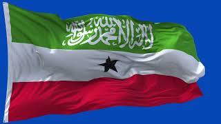 🚩Somaliland Flag Waving Laying Flat  GREEN SCREEN amp CHROMA MATTE🚩 [upl. by Attelocin]