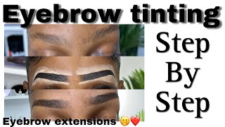 How to tint your eyebrows at home  eyebrows that last up to 2weeks 🫢 eyebrows extensions [upl. by Somisareg]