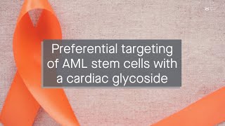 Repurposing cardiac glycosides for AML treatment ouabain preferentially targets leukemic stem c [upl. by Arotal762]