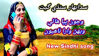 Sindhi Song  Wanjoon piya hane  Best New Sindhi Song  Sindhi Geet  Marwadi Songs [upl. by Umeko125]