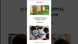 Коротко о важном Пчелы УНИКАЛЬНАЯ КНИГА О КЛЕЩАХ ВАРРОА УЖЕ В ПРОДАЖЕ [upl. by Adeys986]